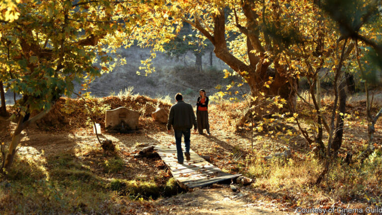 The Wild Pear Tree | Nuri Bilge Ceylan - In Review Online