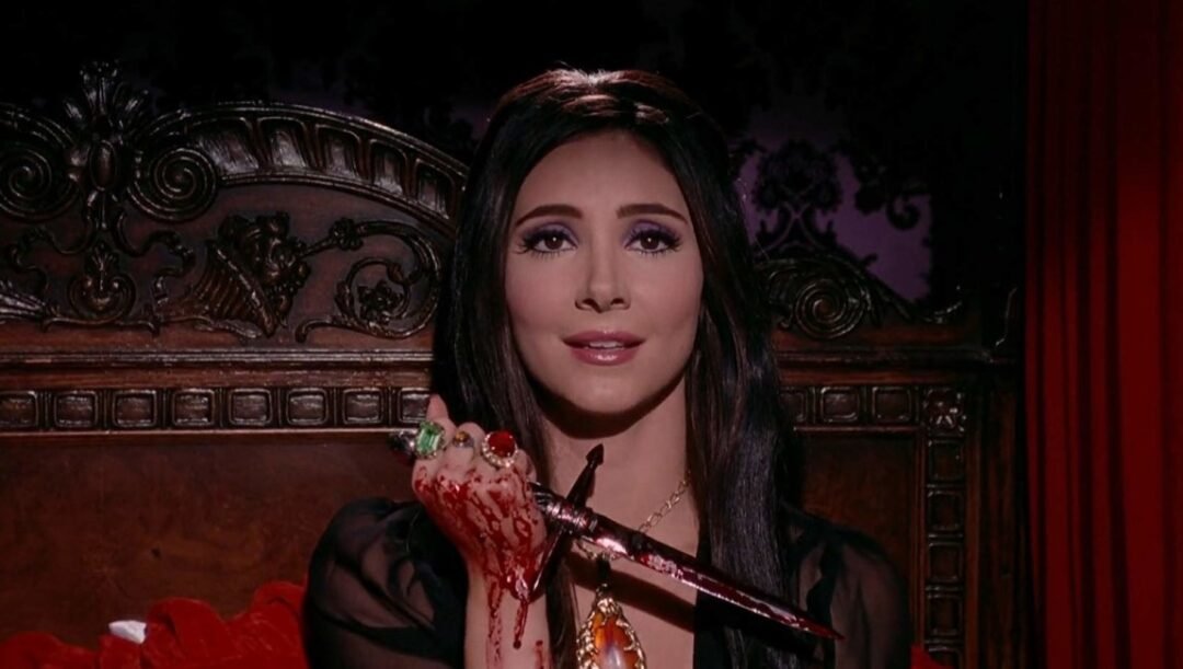the love witch the love witch