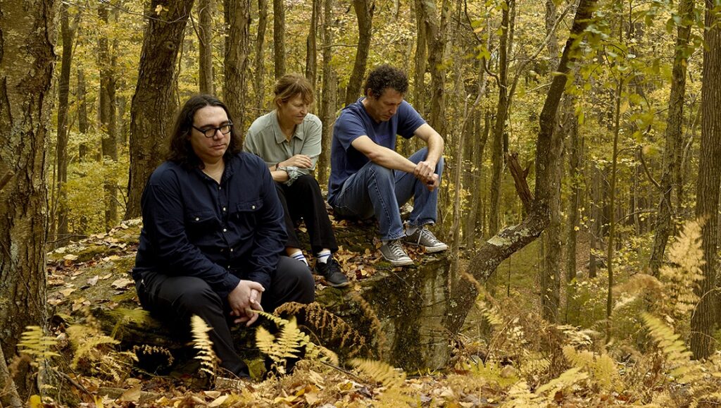 Yo La Tengo - This Stupid World