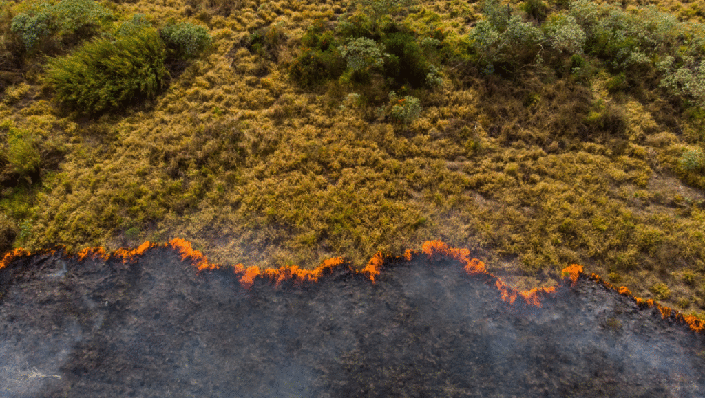 Wildfire burning across a field. Climate change impact. Environmental disaster.
