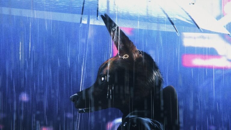 Bouchra still: Dog-like character in rain, Orian Barki & Meriem Bennani film. TIFF '25 review.