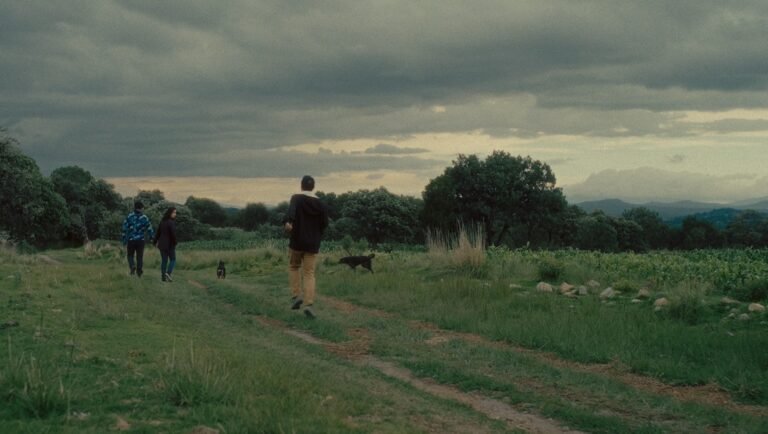 The Christophers film still. Three people and two dogs walk a path through a field. TIFF 2025.