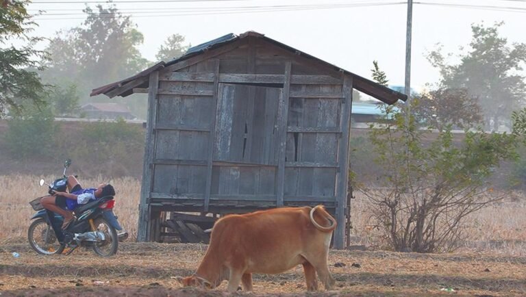 Back Home film still: Man rests on a motorbike by a shack, while a cow grazes nearby. Rural scene.