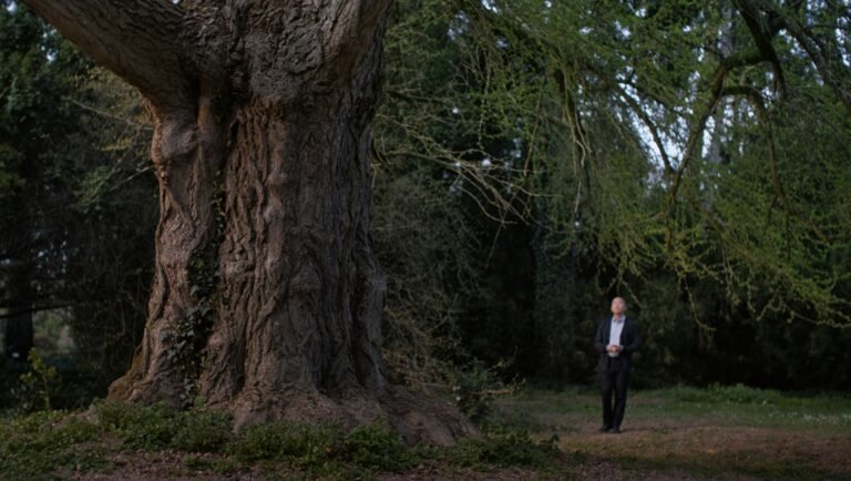Man stands by a large tree in a green park. Nature scene with mature tree.