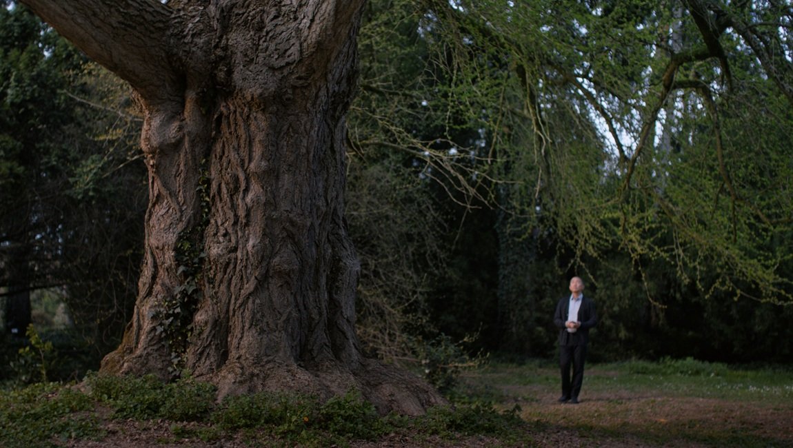 Man stands by a large tree in a green park. Nature scene with mature tree.