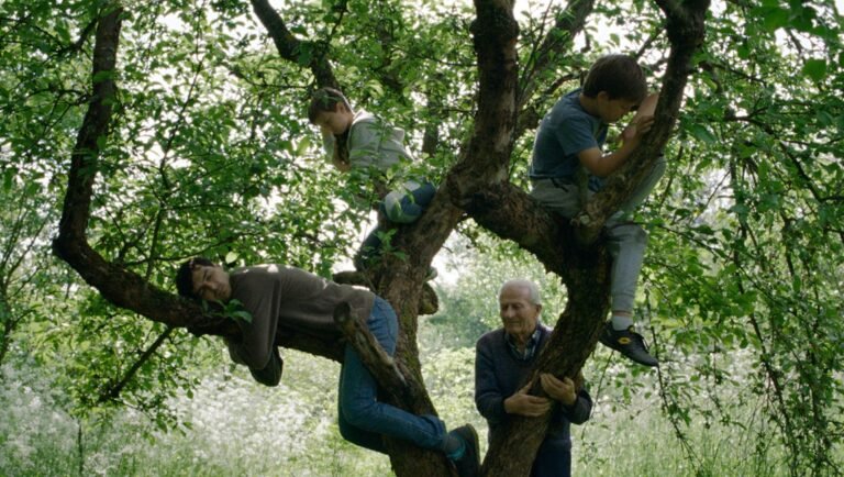 Wind, Talk to Me film review: Family in tree. Image from Stefan Đorđević's Mostra '25 film.