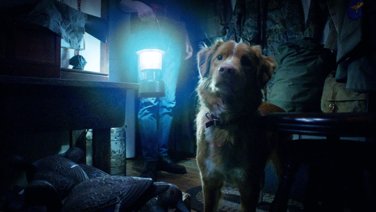 Anniversary movie scene: Dog looks up at a lantern held by a man. Duck decoys are on the floor.