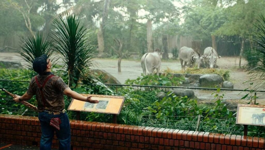 Captive Audience film still, Singapore International Film Festival 2025. Man with saxophone at zoo with zebras in background, rainy day.
