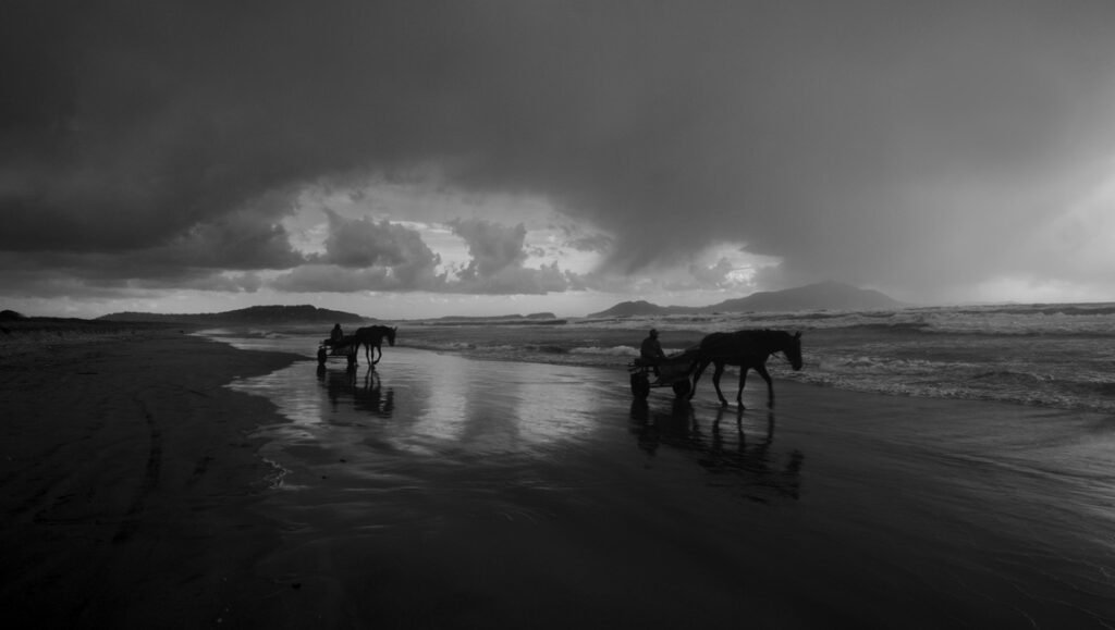 Gianfranco Rosi film still: Black and white image of horses pulling carts on a beach under dramatic clouds.