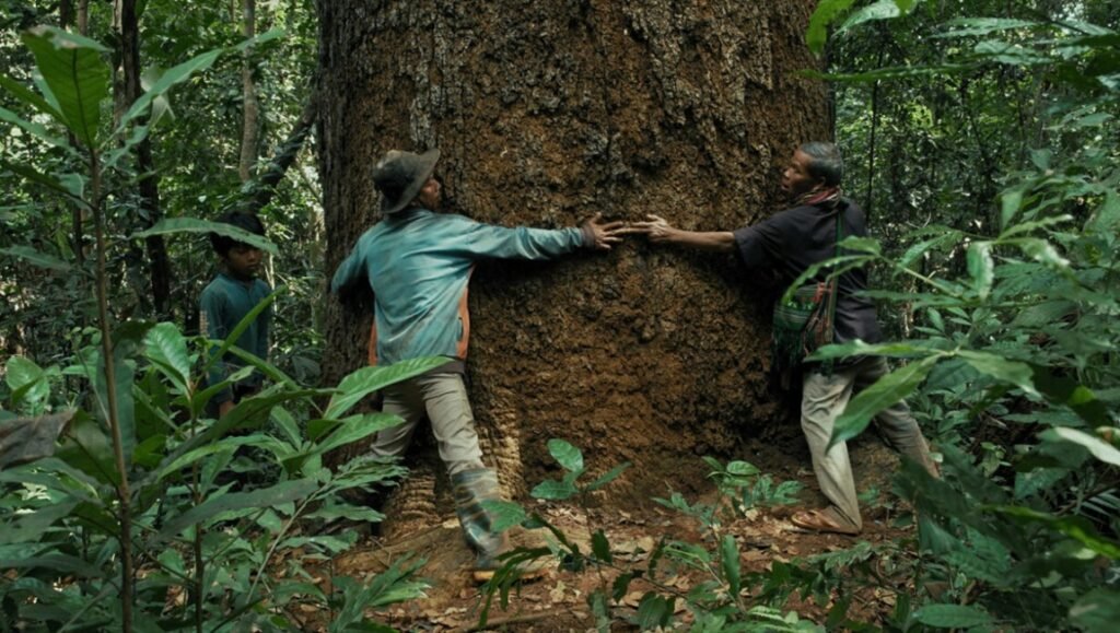 Dao film scene: Two men embracing a large tree in a lush forest. Rithy Panh film, nature and humanity.