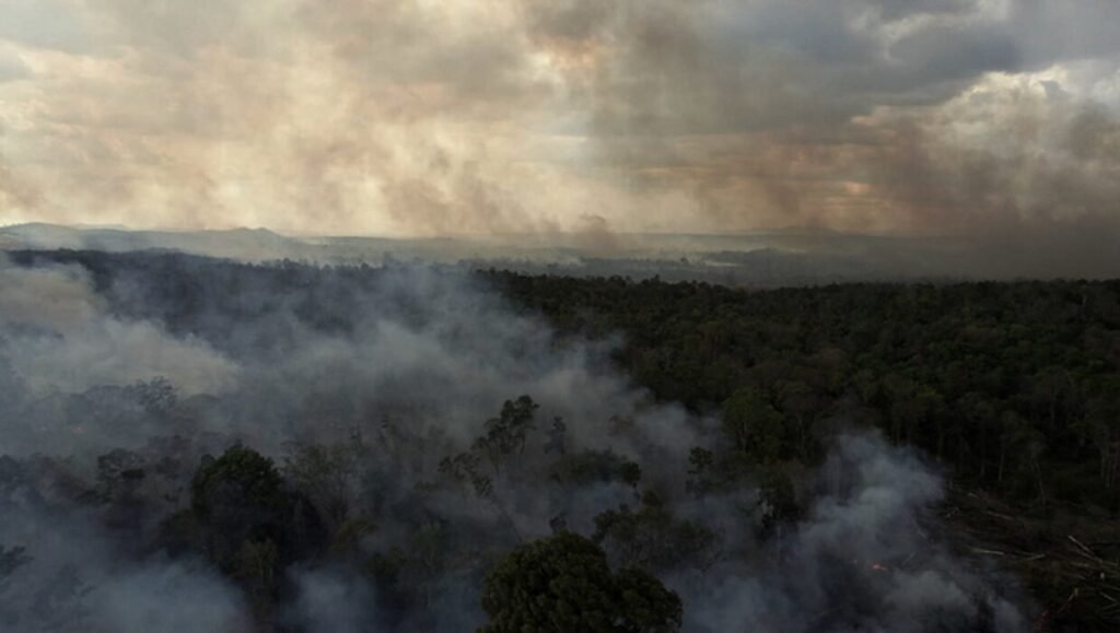 Cinéma du Réel 2026 — Dispatch 1: Dao, We Are the Fruits of the Forest, Relicto Deforestation in Cambodia, as seen in "We Are the Fruits," a Rithy Panh film. Smoke rises over a forested landscape.