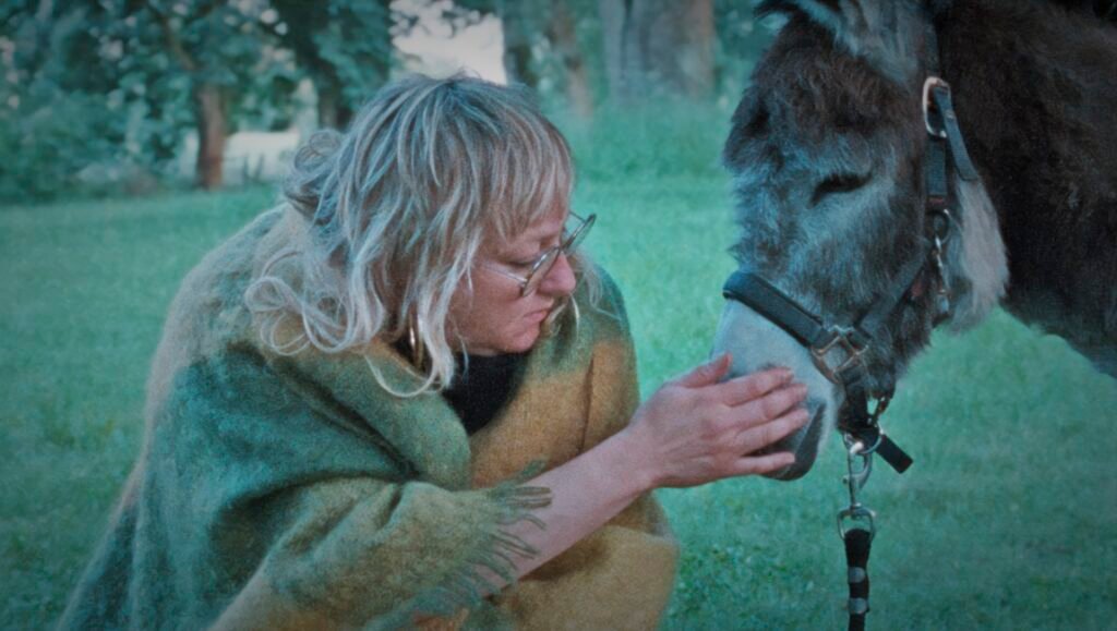 Donkey Days film still: Woman pets a donkey in a field. The film Leviticus explores themes of nature and connection.