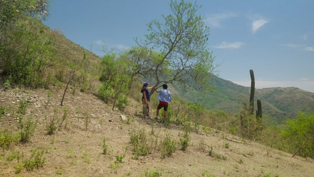 Lucrecia Martel's 'Our Land': Two people stand near a tree on a hillside landscape, showcasing the beauty of nature.