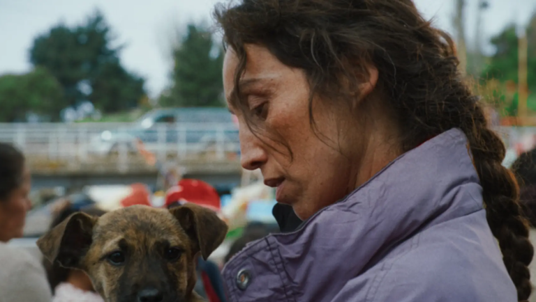 Woman in a purple jacket holds a brown puppy with floppy ears, looking down at it.