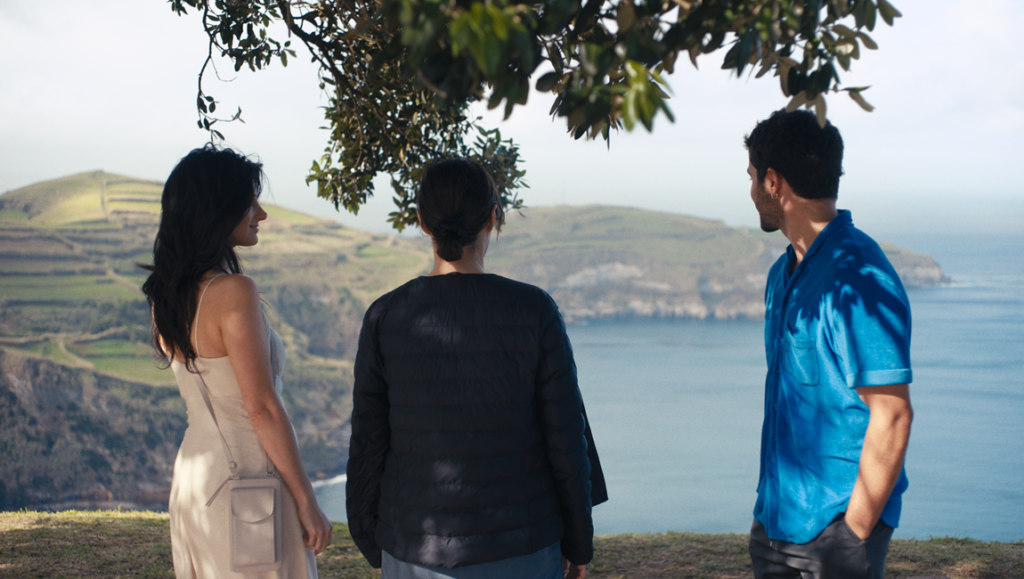 Three people stand under a tree shade on a cliff, looking out over a coastal landscape and the ocean.