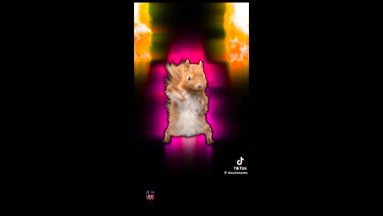 Brown squirrel standing upright against a vibrant purple and orange glowing background.