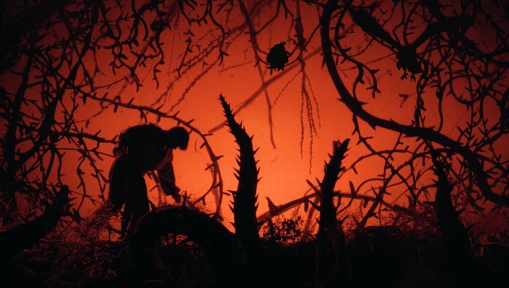Silhouette of a person hunched among thorny, dark branches against a glowing, vibrant orange background.
