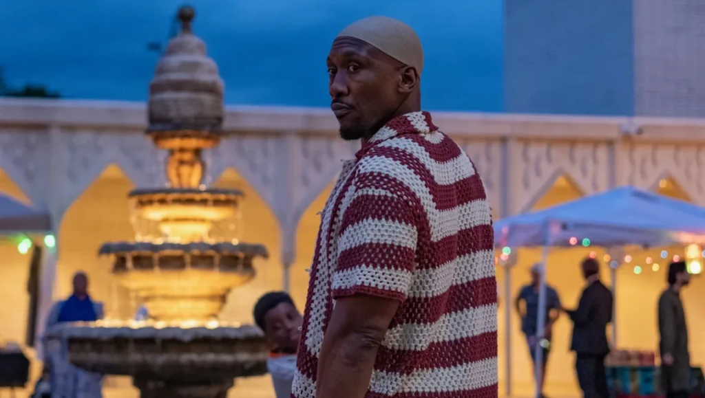 Man in a red and white striped crochet shirt and beanie looking over his shoulder near an illuminated fountain at dusk