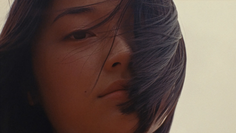 Close-up of a young woman's face with dark hair blowing across her cheek against a pale background