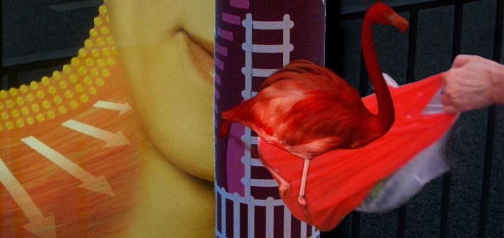 A hand holds a red flamingo figure seated in a red paper bag against a colorful graphic backdrop.